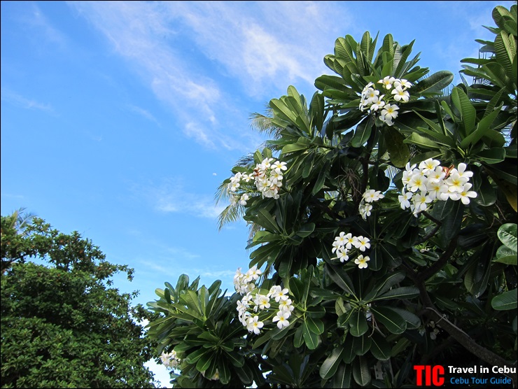 Mactan_Shrine_30.JPG