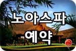 세부 노아스파